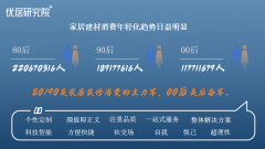 消费者选择家居产物